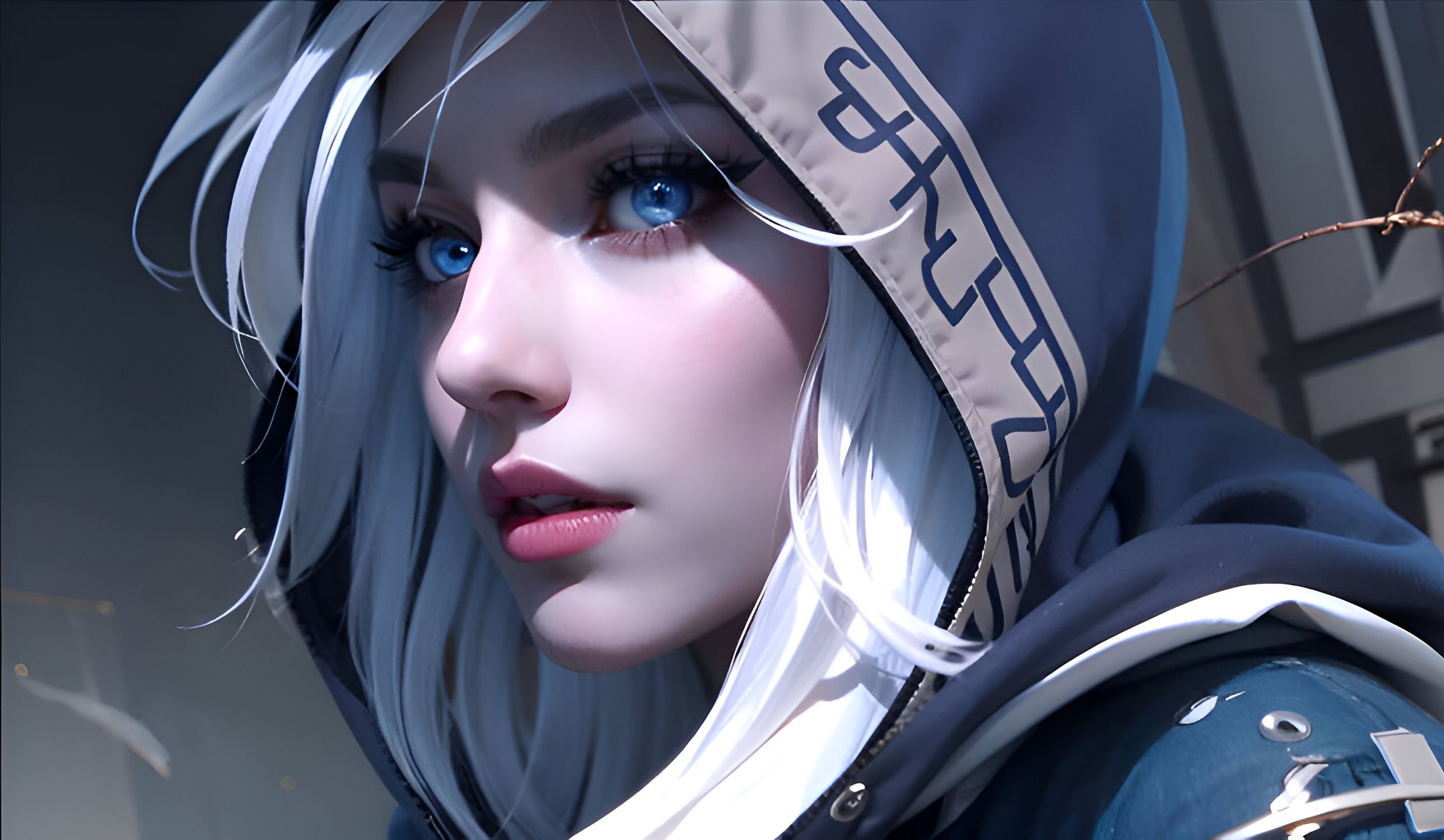 提供了一个 提供了一个